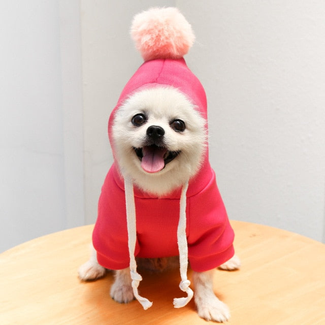 Cute Pet Costumes