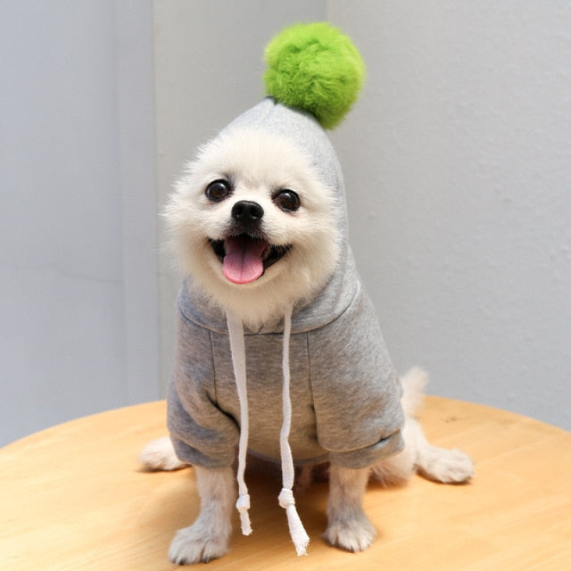 Cute Pet Costumes