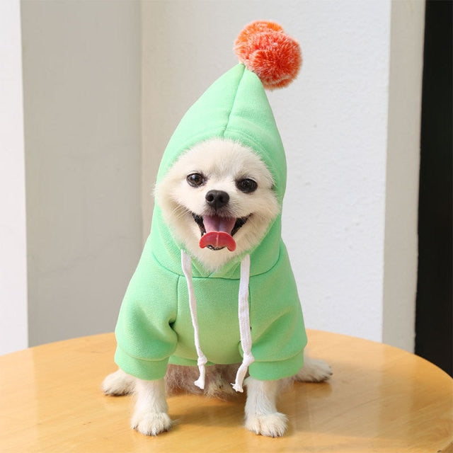 Cute Pet Costumes