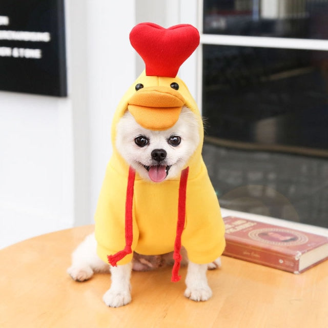 Cute Pet Costumes