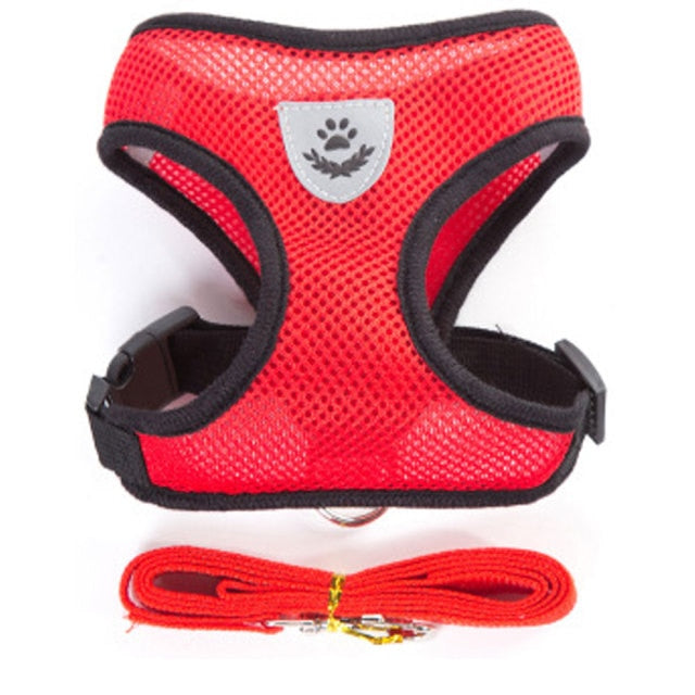 Nylon Mesh Cat Harness And Leash