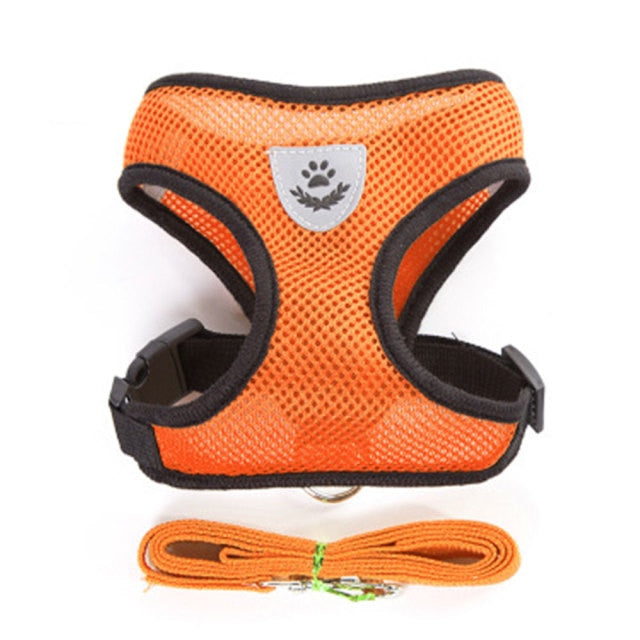 Nylon Mesh Cat Harness And Leash