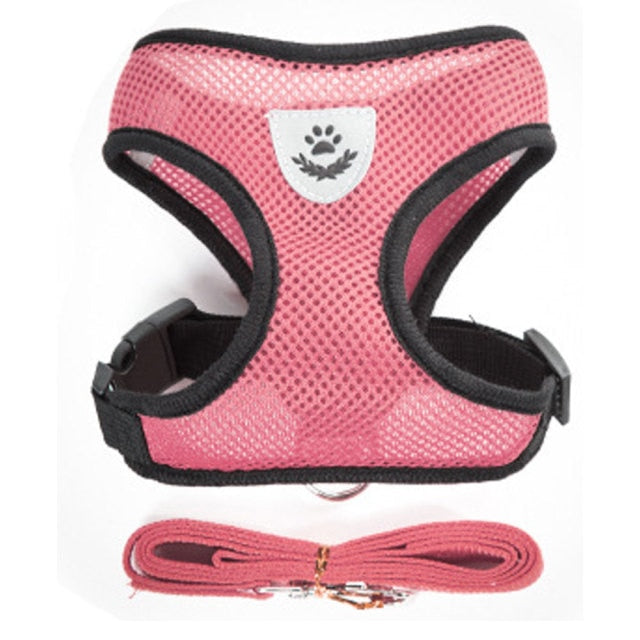 Nylon Mesh Cat Harness And Leash