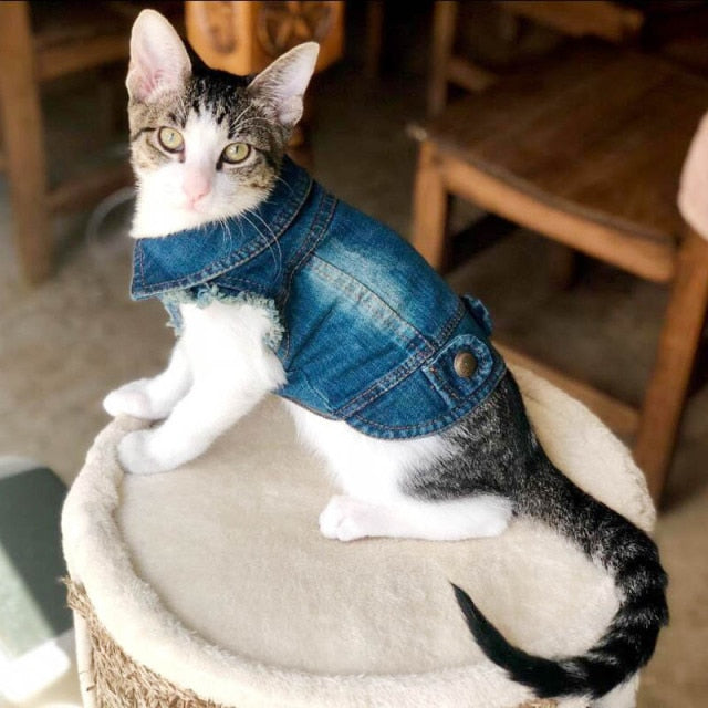 Denim Fashion Jacket