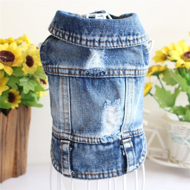 Denim Fashion Jacket