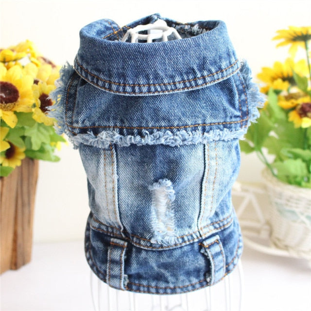 Denim Fashion Jacket