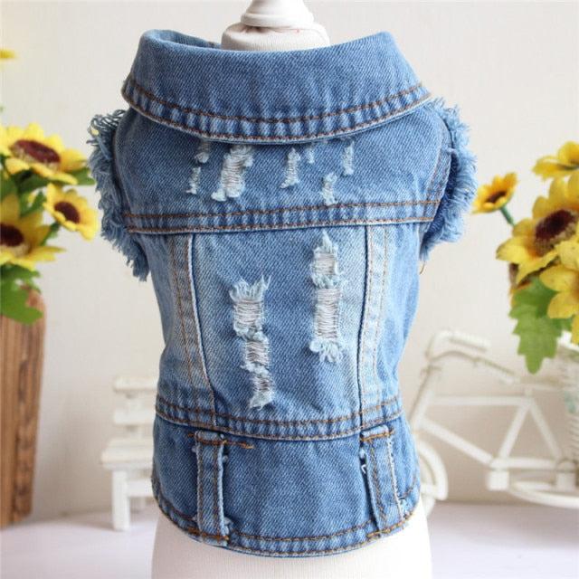 Denim Fashion Jacket