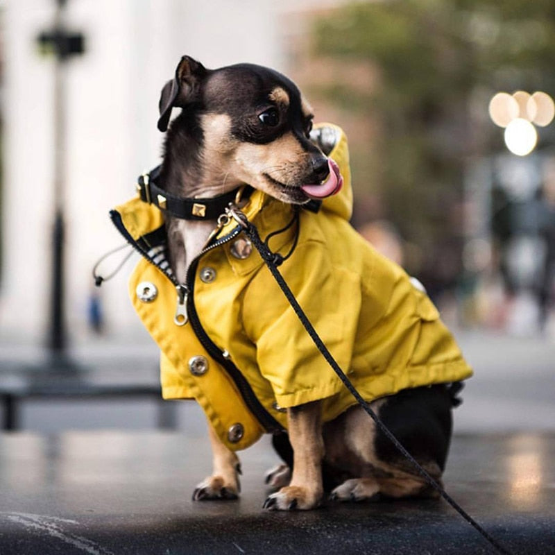 Raincoat for Small/Medium Dogs