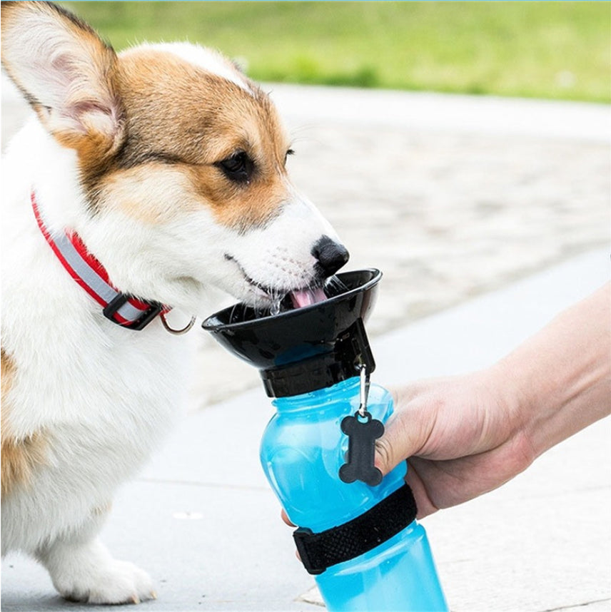 Outdoor Sports Squeeze Water Bottle